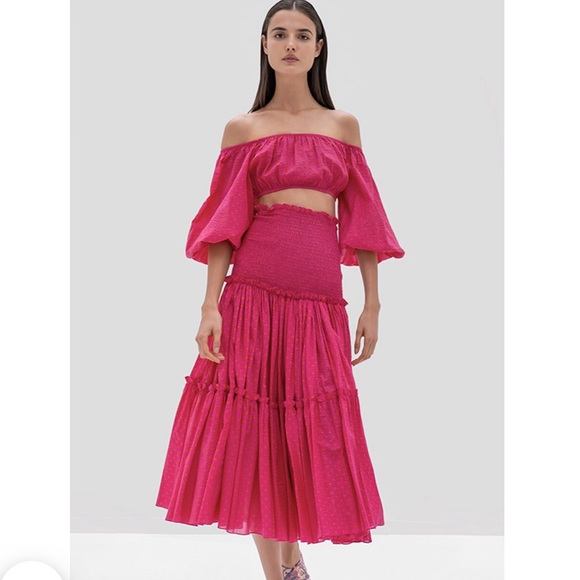 Alexis Dresses & Skirts - Alexis Mable top and Lynxa skirt fuchsia dot XS